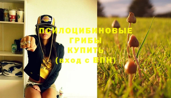 метамфетамин Коряжма