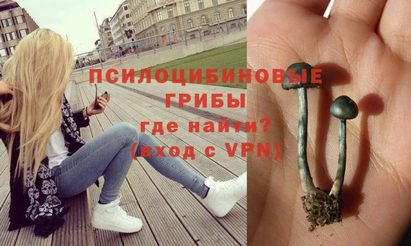 шишки Красноперекопск