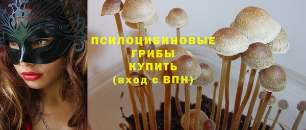 сатива Краснотурьинск