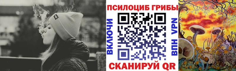 гидра маркетплейс  Краснообск  Псилоцибиновые грибы мухоморы 